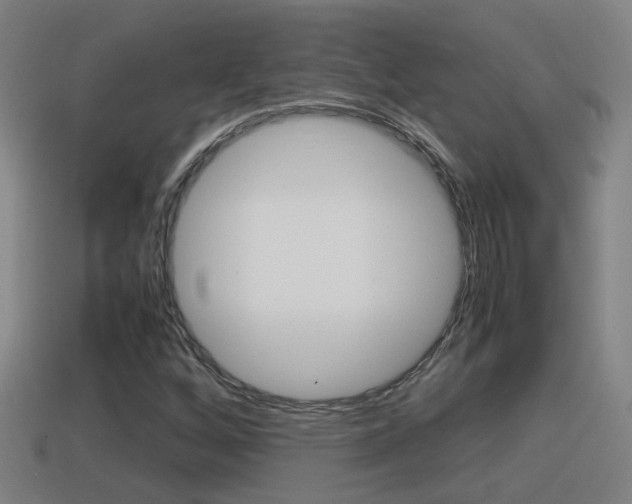 X0000114411256200910161024