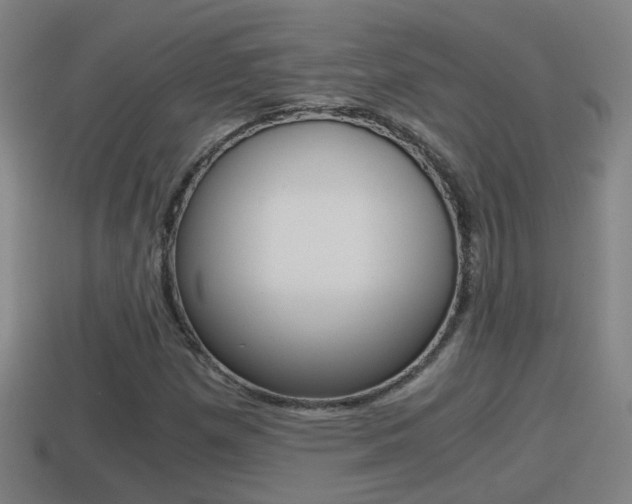 X0000114411257200910161023