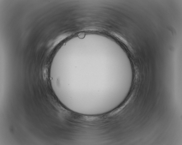 X0000114411258200910161023