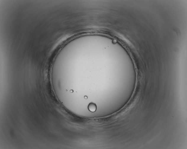 X0000114411259200910161023