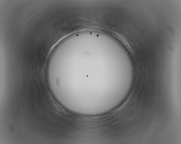 X0000114411260200910161023