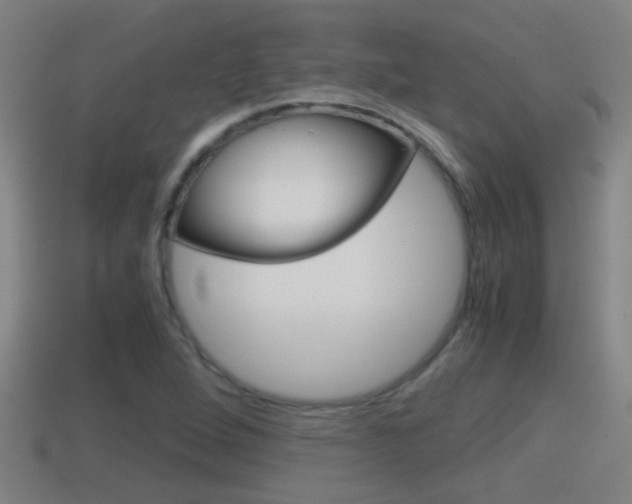 X0000114411264200910161023