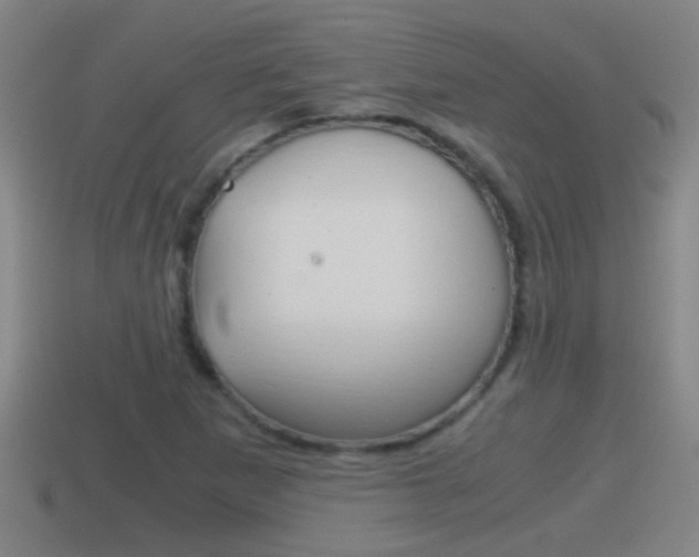 X0000114411265200910161023