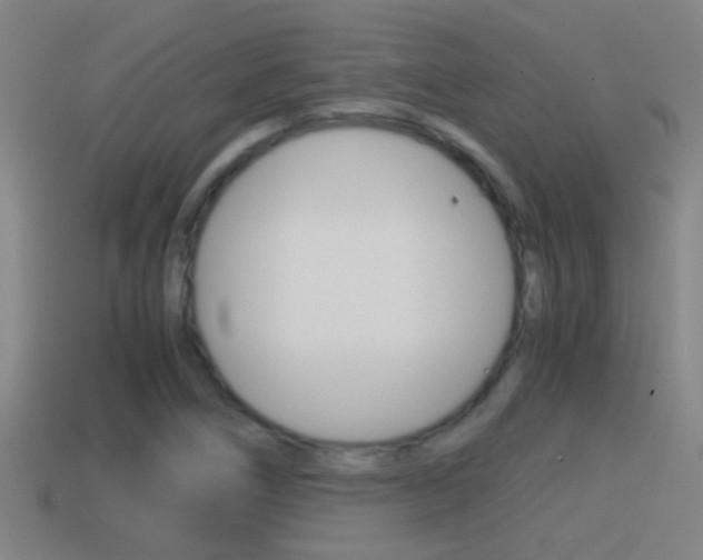 X0000114411266200910161023