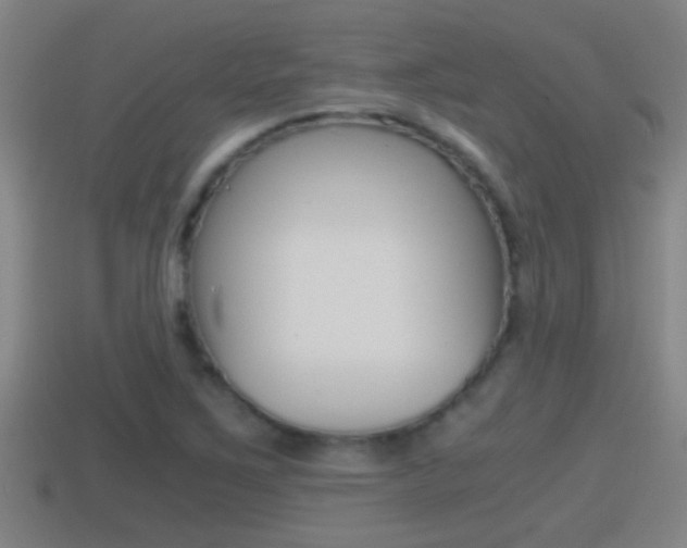 X0000114411267200910161023