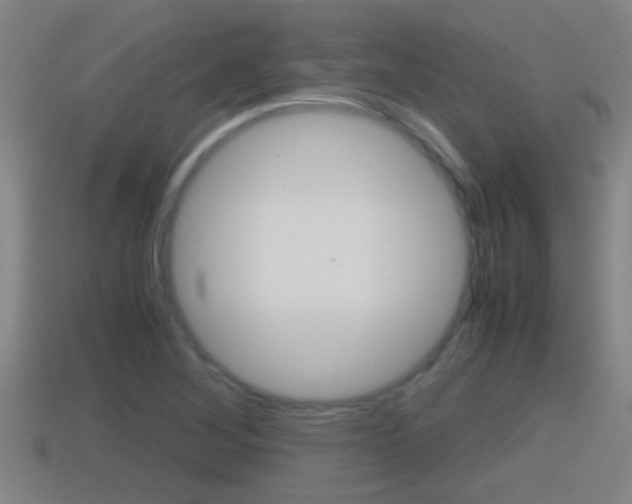 X0000114411268200910161023