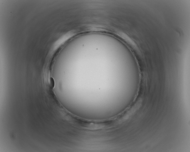 X0000114411269200910161023