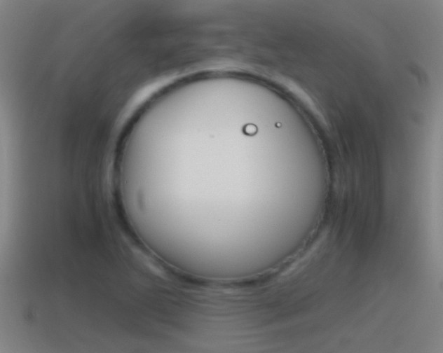 X0000114411270200910161023