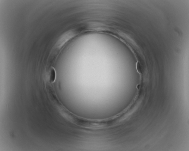 X0000114411273200910161023