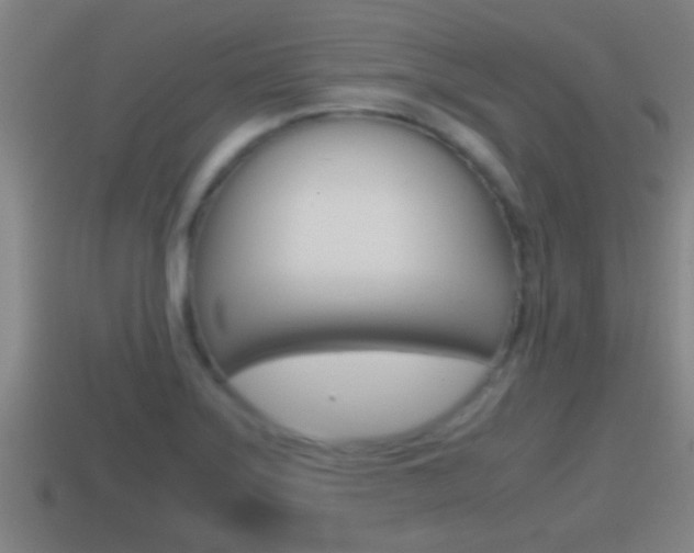 X0000114411275200910161023