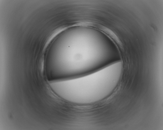 X0000114411276200910161023