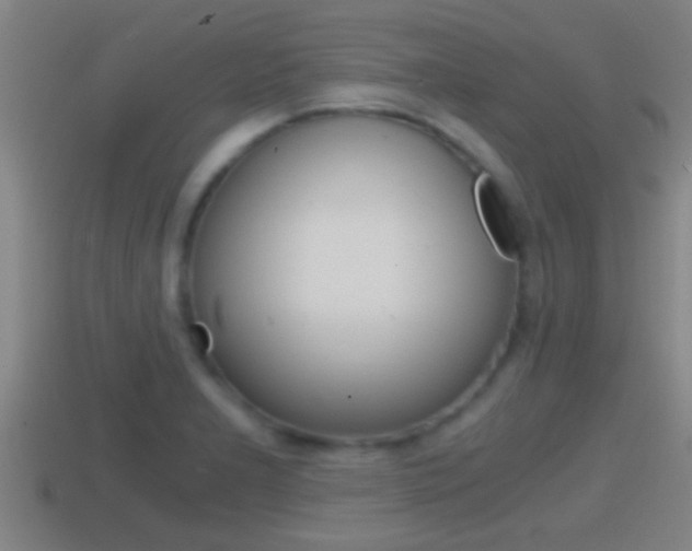 X0000114411277200910161023