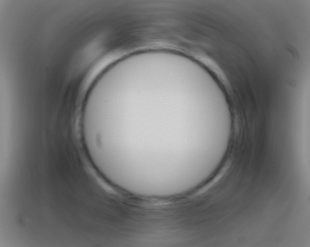 X0000114411278200910161023