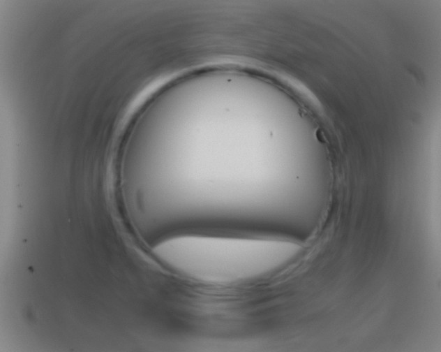 X0000114411279200910161023