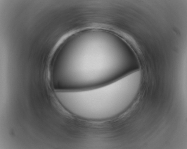 X0000114411280200910161023