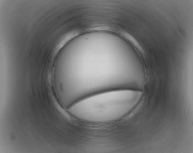 X0000114411282200910161023