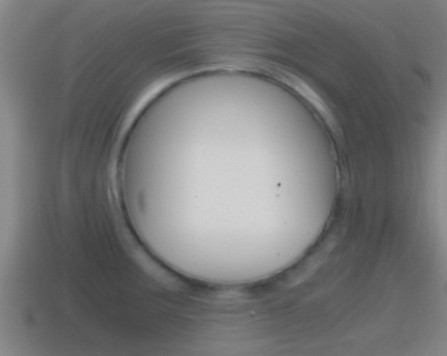 X0000114411283200910161023