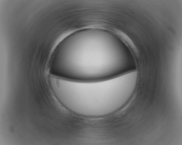 X0000114411284200910161023