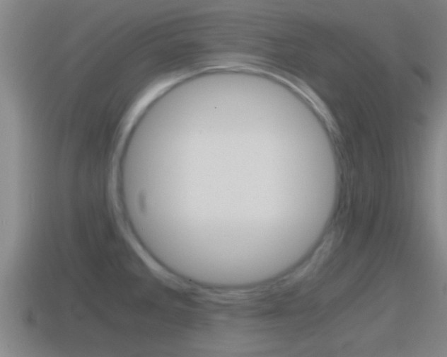 X0000114411285200910161023