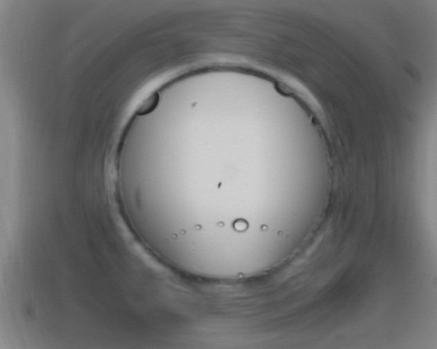 X0000114411287200910161023