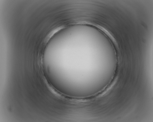 X0000114411289200910161023