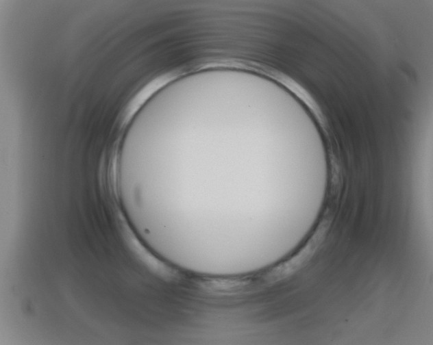 X0000114411290200910161023
