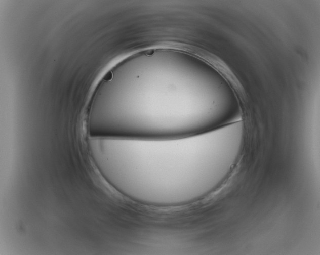 X0000114411292200910161023