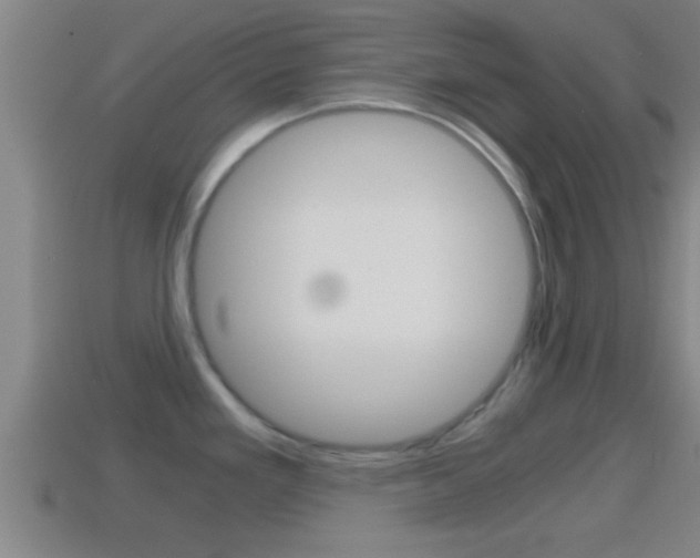 X0000114411293200910161023