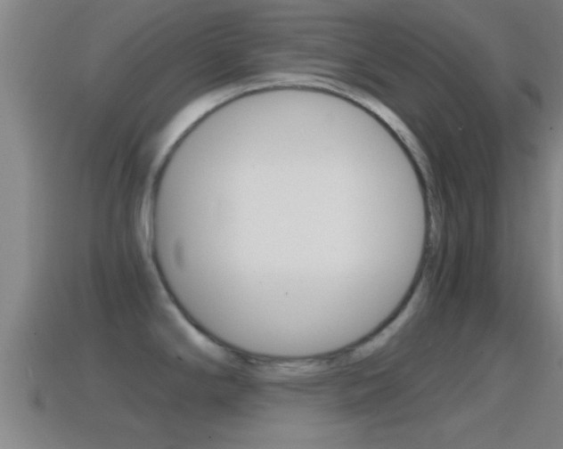 X0000114411294200910161023