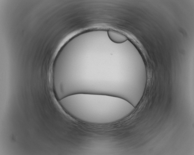 X0000114411295200910161023