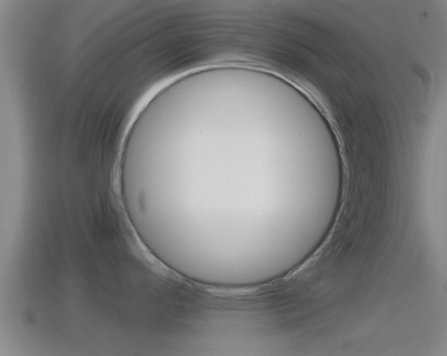 X0000114411296200910161023