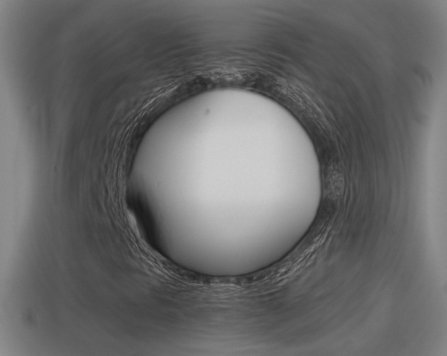 X0000114411297200910161022