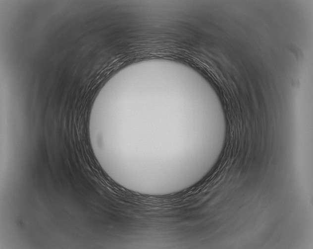 X0000114411298200910161022