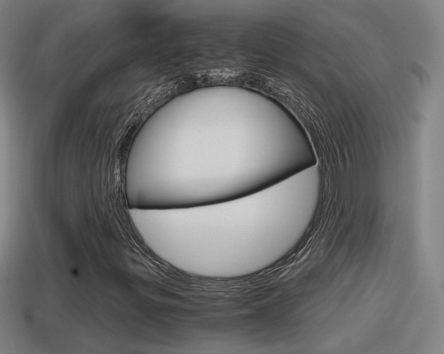 X0000114411299200910161022