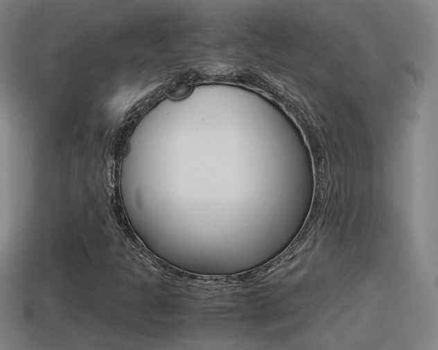 X0000114411301200910161022