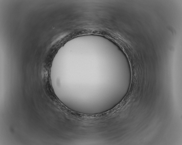 X0000114411302200910161022