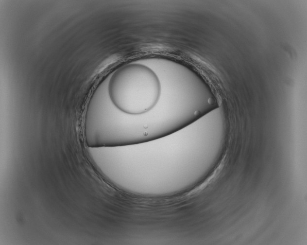 X0000114411305200910161022