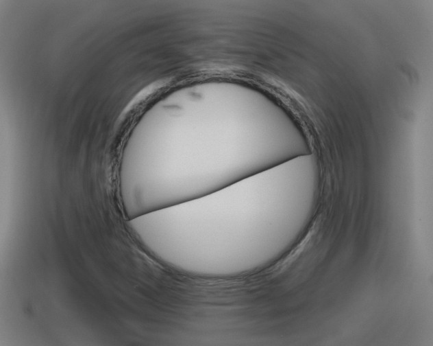 X0000114411306200910161022