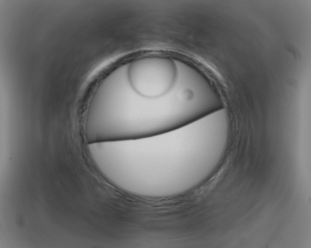 X0000114411311200910161023