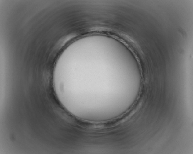 X0000114411313200910161023