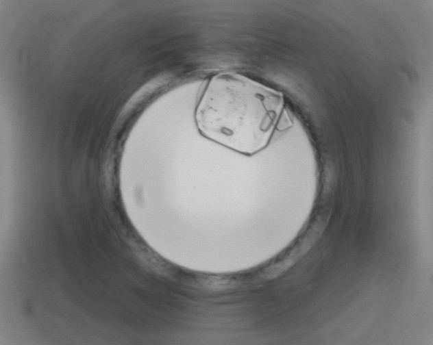 X0000114411314200910161023