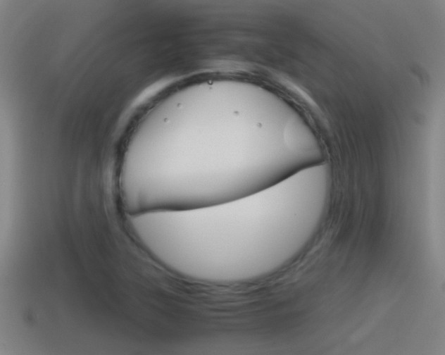 X0000114411315200910161023