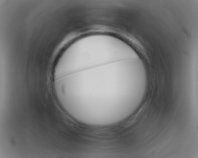 X0000114411318200910161023
