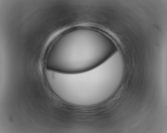 X0000114411319200910161023