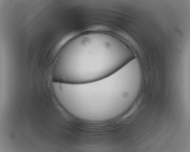 X0000114411321200910161023