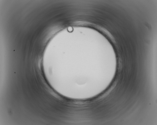 X0000114411322200910161023