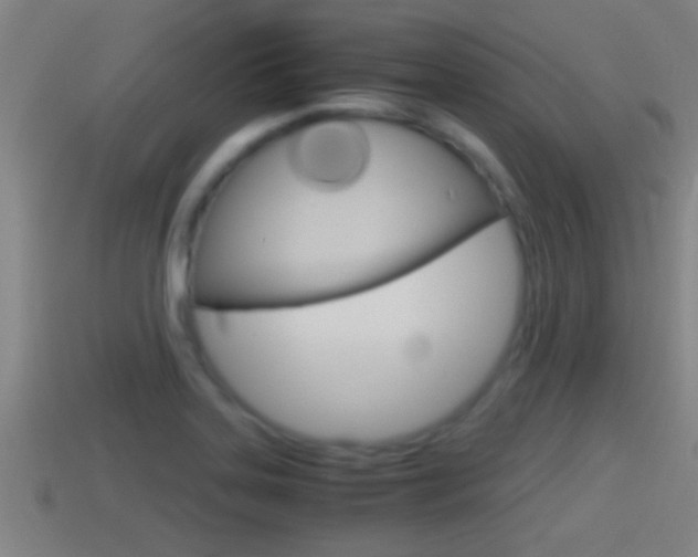 X0000114411323200910161023