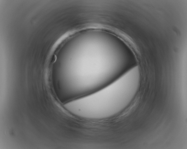 X0000114411326200910161023
