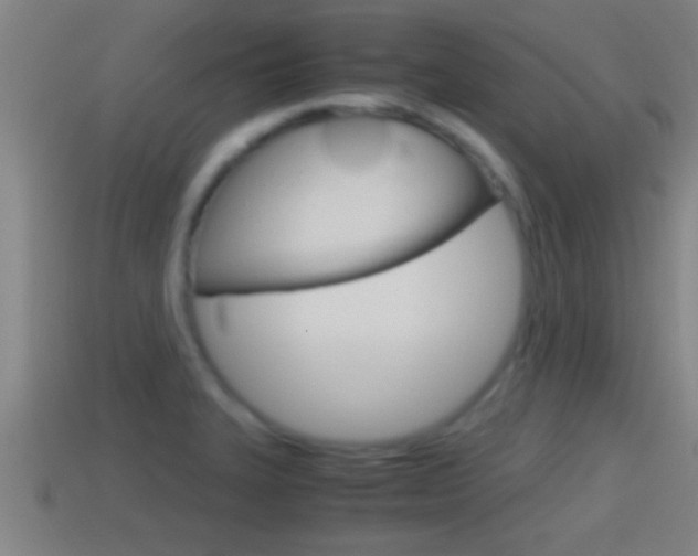 X0000114411327200910161023
