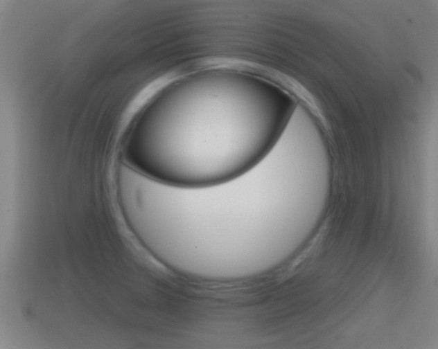 X0000114411330200910161023